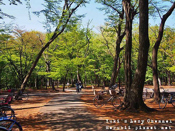 井之頭公園1 井之頭公園1