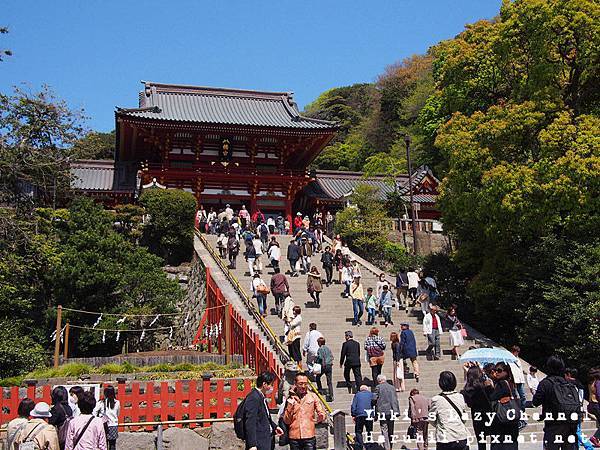 鎌倉鶴岡八幡宮3 鎌倉鶴岡八幡宮3