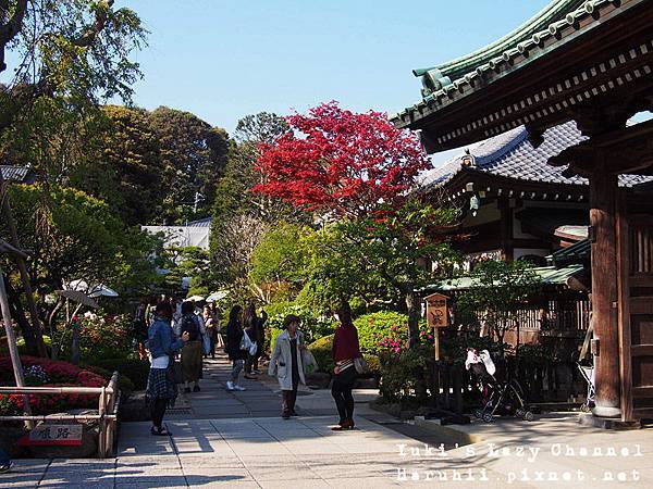 鎌倉長谷寺1 鎌倉長谷寺1