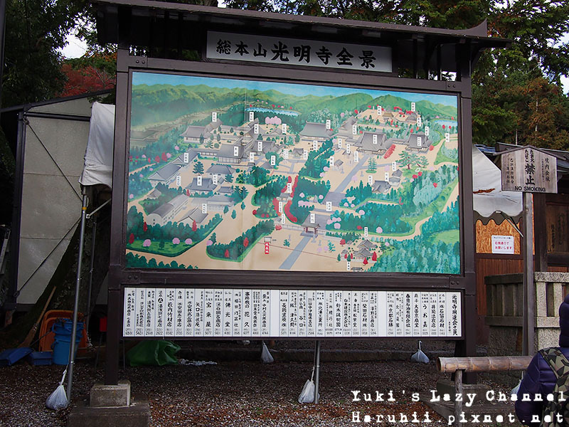 京都長岡光明寺賞楓5 京都長岡光明寺賞楓5