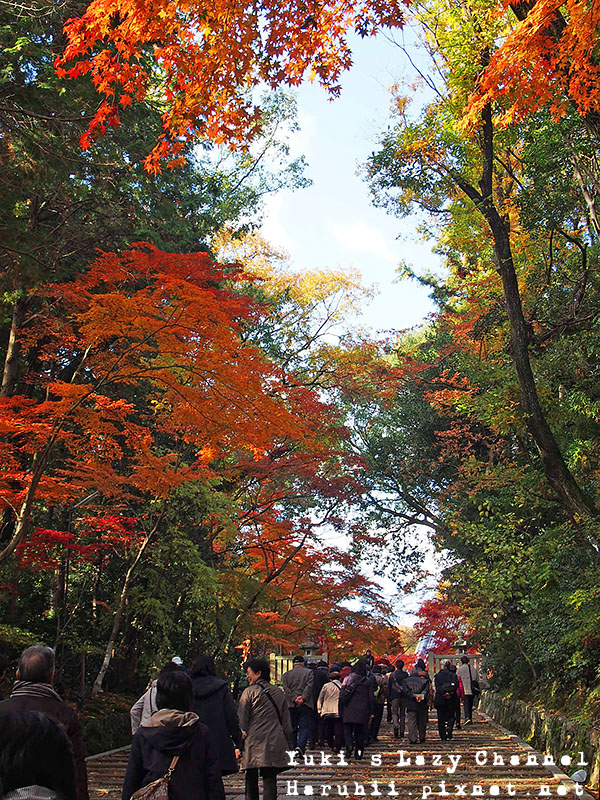 京都長岡光明寺賞楓14 京都長岡光明寺賞楓14