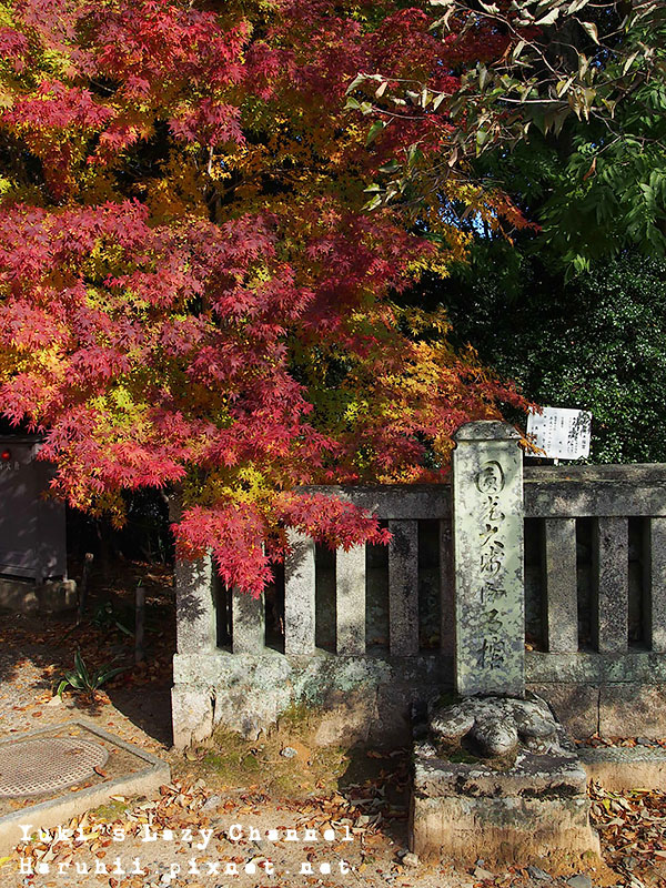 京都長岡光明寺賞楓20 京都長岡光明寺賞楓20