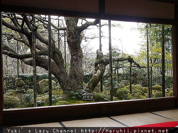 [京都] 大原寶泉院＊如入畫中的庭園美景 @Yuki&#039;s Lazy Channel