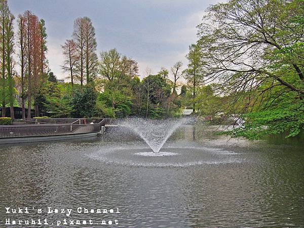 井之頭公園