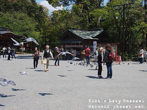鎌倉鶴岡八幡宮2