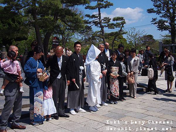 鎌倉鶴岡八幡宮14