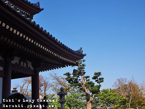 鎌倉長谷寺4