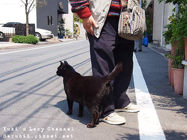[東京] 谷根千(谷中、根津、千駄木)尋貓去～下町老街的悠閒散步 @Yuki&#039;s Lazy Channel