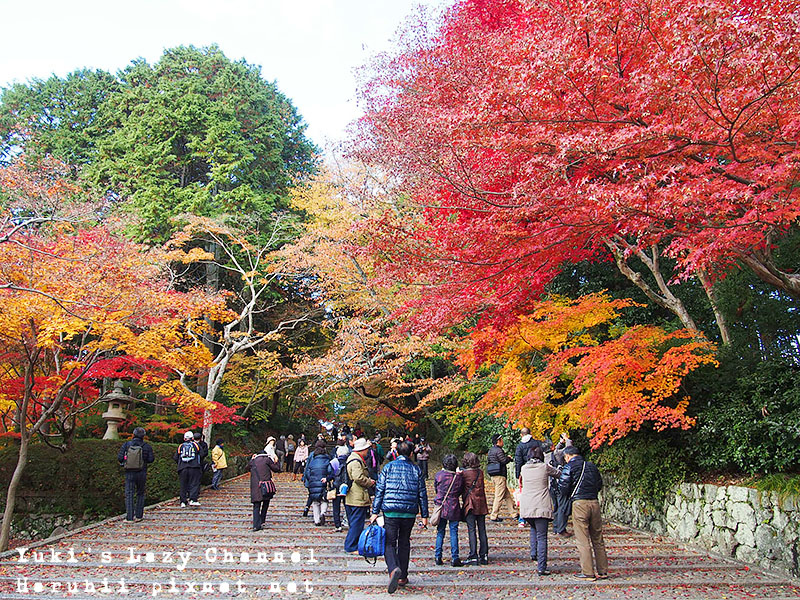 京都長岡光明寺賞楓3