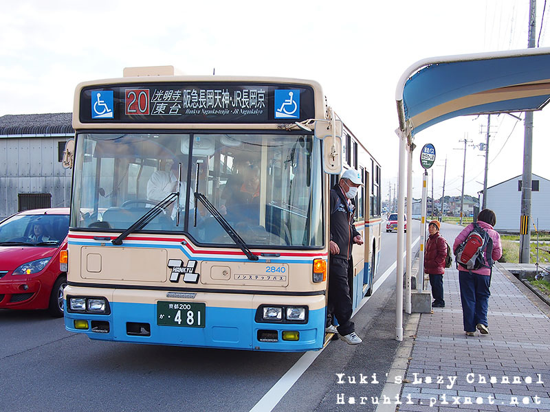 京都長岡光明寺賞楓12