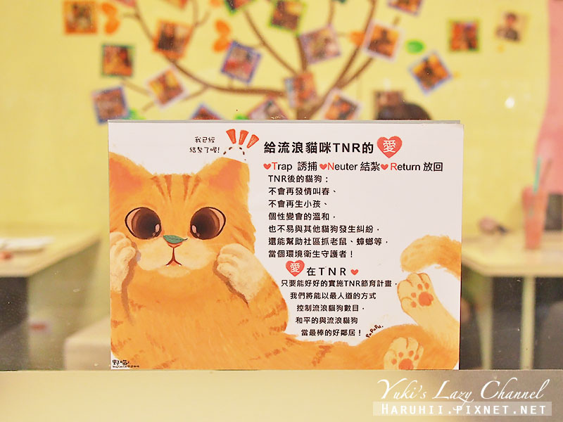 [三重貓咪咖啡推薦] 野喵中途咖啡＊太療癒了！超棒的貓咪咖啡 @Yuki&#039;s Lazy Channel