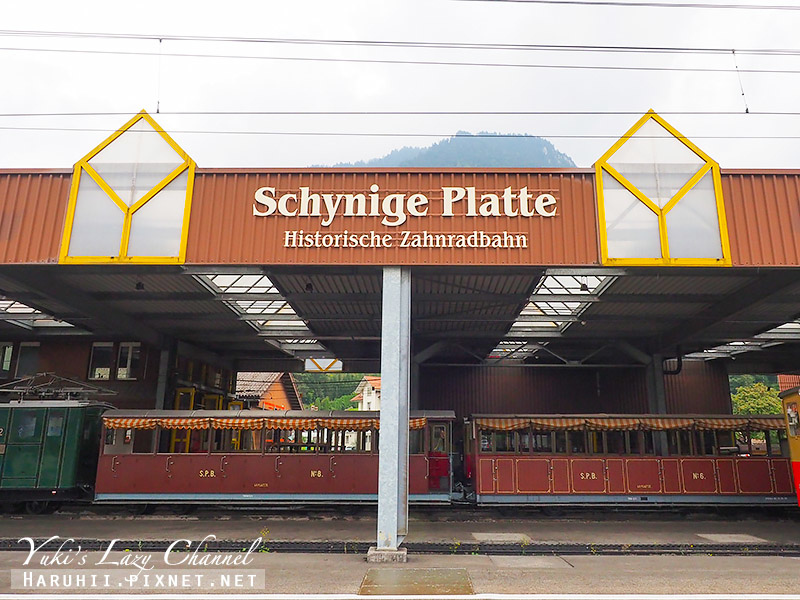 [瑞士少女峰] Schynige Platte 徐尼格觀景台：行駛雲霧間的懷舊火車，來去健行、找高山植物 @Yuki&#039;s Lazy Channel