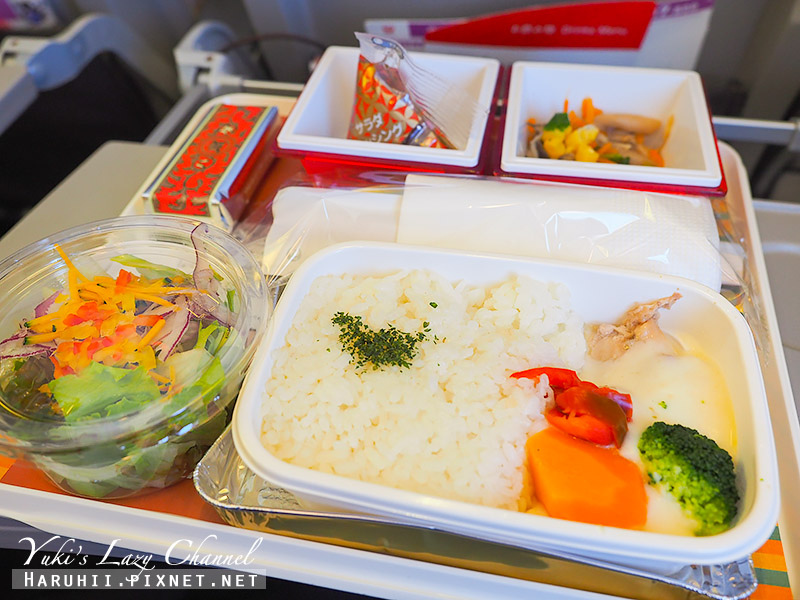 日本航空 日航 JL802、 JL805 台北-東京成田 波音787-8、737-800 飛機餐、經濟艙、飛行紀錄 @Yuki&#039;s Lazy Channel