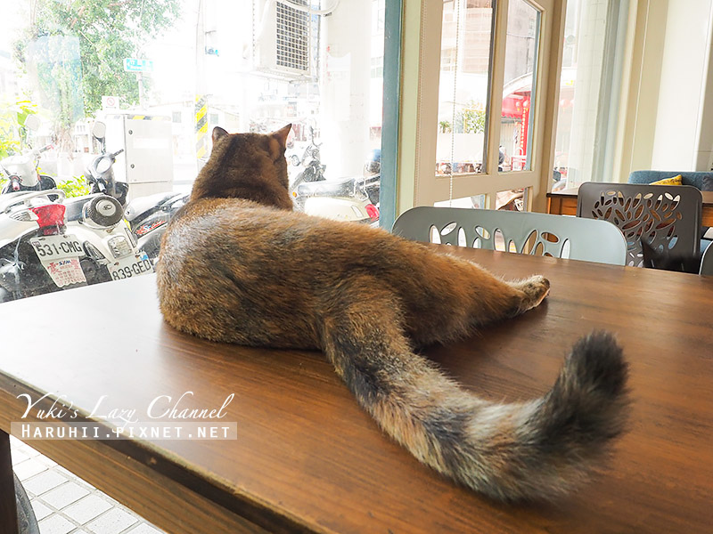 [高雄] 中央公園 描Cafe X 屋Brunch：貓咪慵懶坐檯、狗兒飛奔的寵物咖啡早午餐 @Yuki&#039;s Lazy Channel