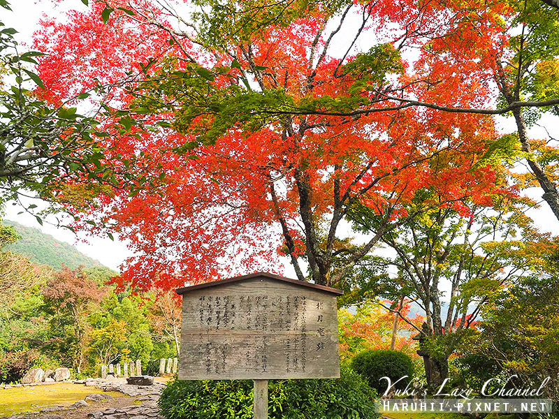 中津羅漢寺19.jpg