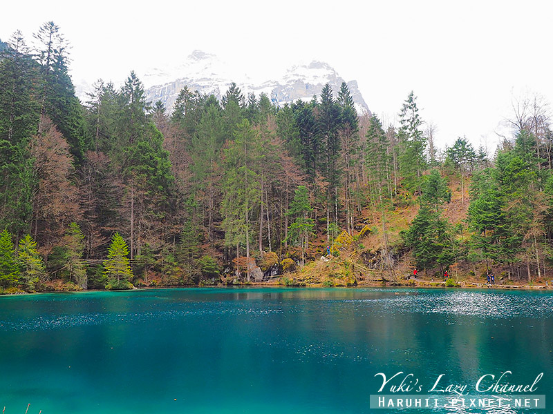 [瑞士] Blausee 藍湖：隱藏在阿爾卑斯山脈中的絕美秘境，含門票、交通資訊 @Yuki&#039;s Lazy Channel