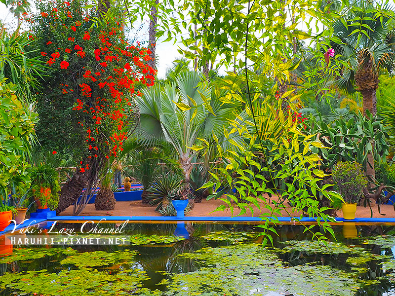 [摩洛哥] 馬拉喀什 Jardin Majorelle(Majorelle Garden) 馬若雷勒花園：時裝大師聖羅蘭Yves Saint Laurent長眠之地 @Yuki&#039;s Lazy Channel