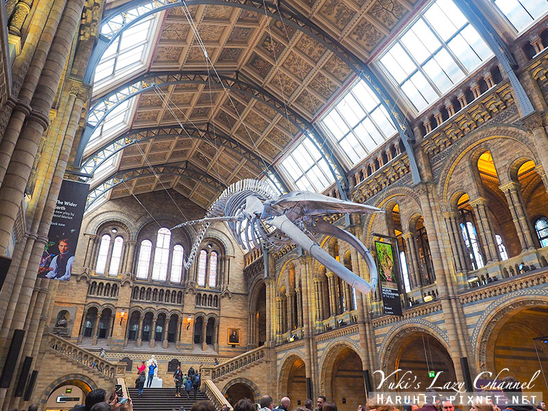 [倫敦] 自然史博物館Natural History Museum：來看壯觀恐龍，倫敦親子景點推薦，自然史博物館交通/開放時間整理 @Yuki&#039;s Lazy Channel