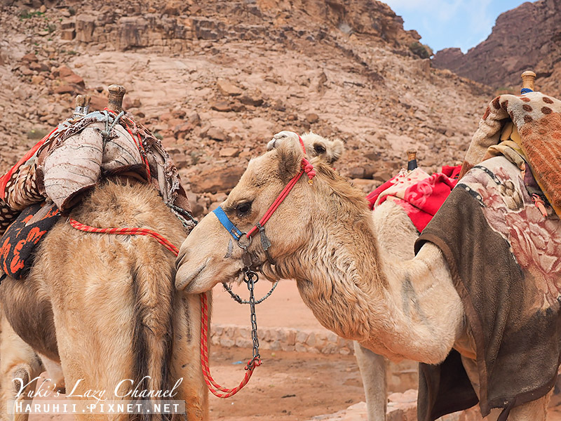 [約旦] 瓦地倫沙漠Tour Wadi Rum Camp &amp; Tours：瓦地倫沙漠帳篷住一晚，月亮谷吉普車沙漠之旅 @Yuki&#039;s Lazy Channel