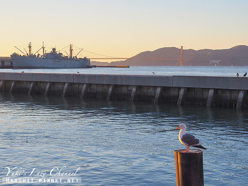 [舊金山] 漁人碼頭 Fisherman&#8217;s Wharf：Pier 39 39號碼頭看海獅，逛碼頭市集 @Yuki&#039;s Lazy Channel