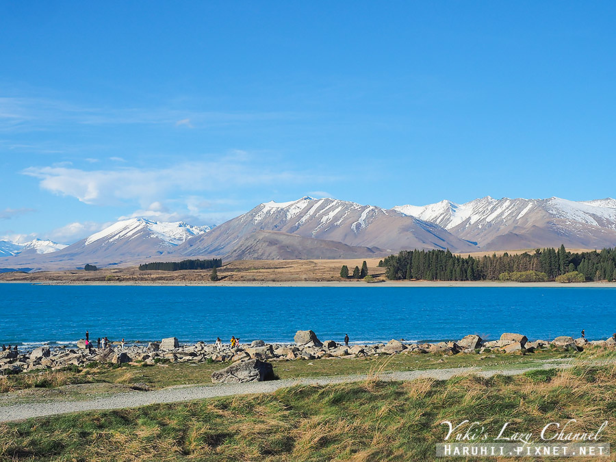 【紐西蘭南島】蒂卡波湖 Lake Tekapo，夢幻藍仙境、好牧羊人教堂、南島觀星聖地 @Yuki&#039;s Lazy Channel