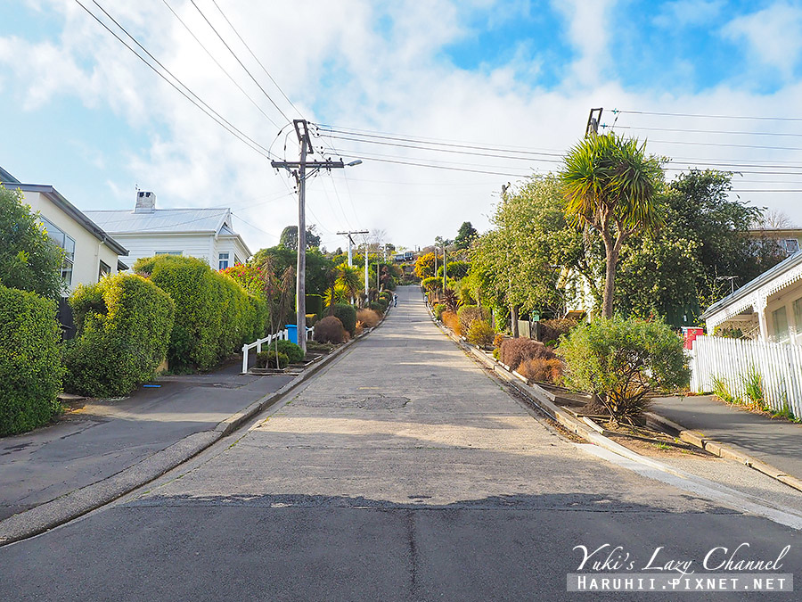 【紐西蘭南島】但尼丁景點，鮑德溫街Baldwin Street 世界最陡街道，奧塔哥半島野生動物觀景地 Sandfly Bay @Yuki&#039;s Lazy Channel
