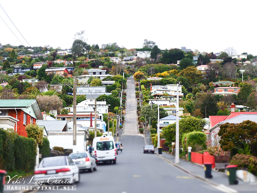 【紐西蘭南島】但尼丁景點，鮑德溫街Baldwin Street 世界最陡街道，奧塔哥半島野生動物觀景地 Sandfly Bay @Yuki&#039;s Lazy Channel