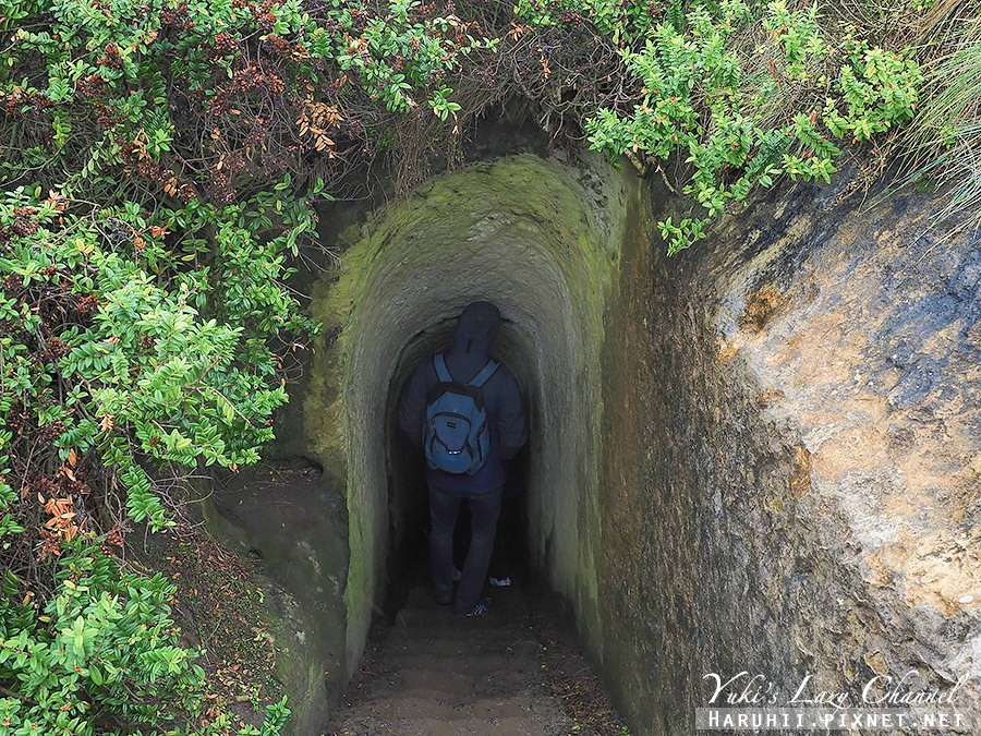 【紐西蘭南島】隧道海灘 Tunnel Beach，但尼丁秘境景點，穿越隧道，就是大海 @Yuki&#039;s Lazy Channel