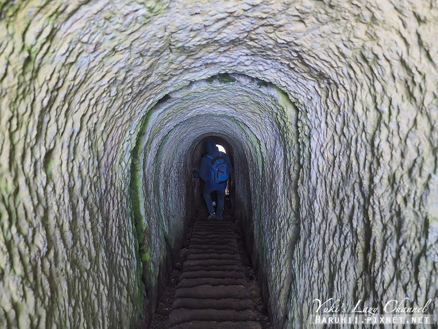 【紐西蘭南島】隧道海灘 Tunnel Beach，但尼丁秘境景點，穿越隧道，就是大海 @Yuki&#039;s Lazy Channel