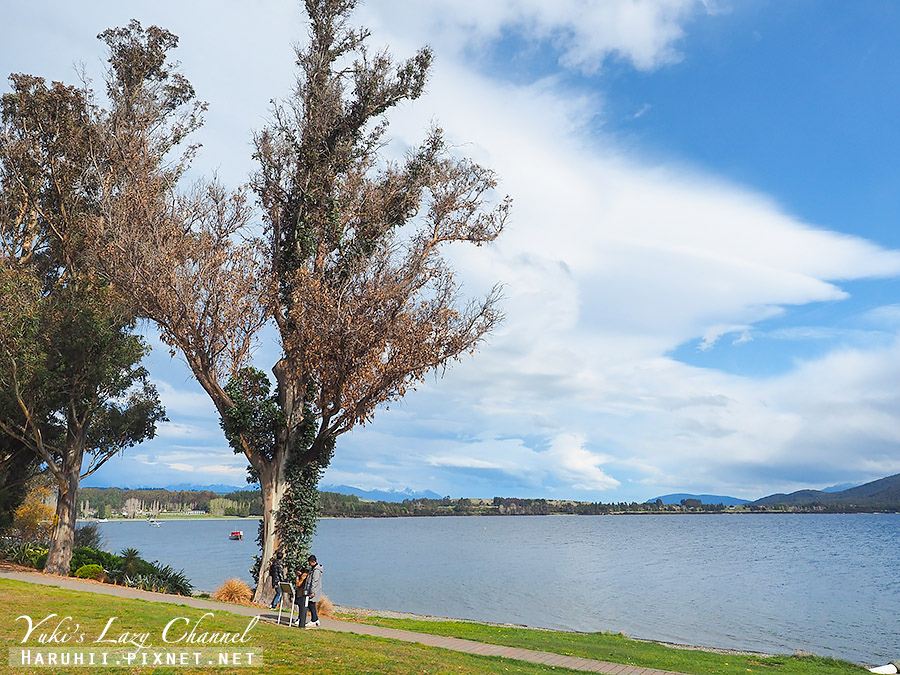 【紐西蘭南島】蒂阿瑙湖 Lake Te Anau，紐西蘭第二大湖，蒂阿瑙景點散步，一探保育鳥類南秧雞Takahe @Yuki&#039;s Lazy Channel