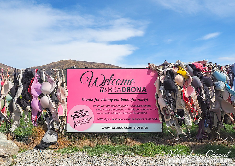 【紐西蘭南島】卡德羅納胸罩圍欄(內衣柵欄) Cardrona Bra Fence，滿滿胸罩圍欄，皇后鎮與瓦納卡間特色景點 @Yuki&#039;s Lazy Channel