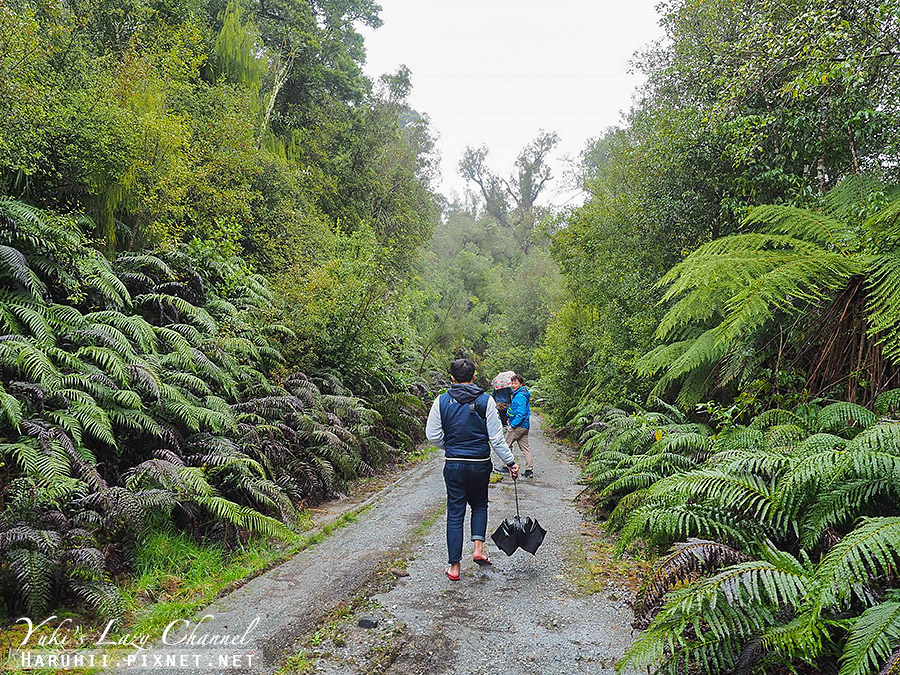 【紐西蘭南島】霍基蒂卡景點：Hokitika Gorge景觀步道、馬希納普阿湖 Lake Mahinapua @Yuki&#039;s Lazy Channel