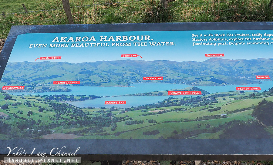 【紐西蘭南島】阿卡羅阿 Akaroa，必吃炸魚薯條，與海豚共遊、看羊駝的法國小鎮 @Yuki&#039;s Lazy Channel