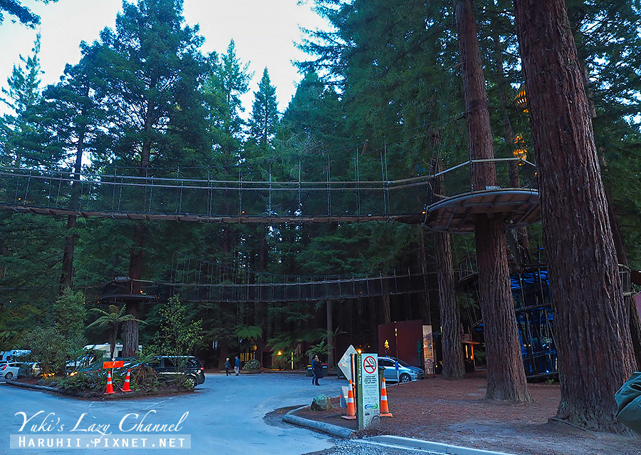 【紐西蘭北島】羅托魯瓦 Redwoods Treewalk 紅木森林樹頂步道，夜訪奇幻森林，體驗20公尺高鳥兒視角 @Yuki&#039;s Lazy Channel