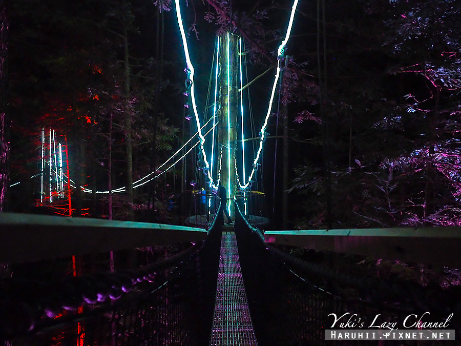 【紐西蘭北島】羅托魯瓦 Redwoods Treewalk 紅木森林樹頂步道，夜訪奇幻森林，體驗20公尺高鳥兒視角 @Yuki&#039;s Lazy Channel