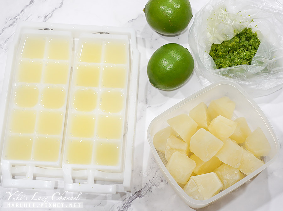 自製檸檬冰塊做法：檸檬冰角自己做、檸檬汁檸檬皮保存法，超前部署檸檬富翁之路 @Yuki&#039;s Lazy Channel