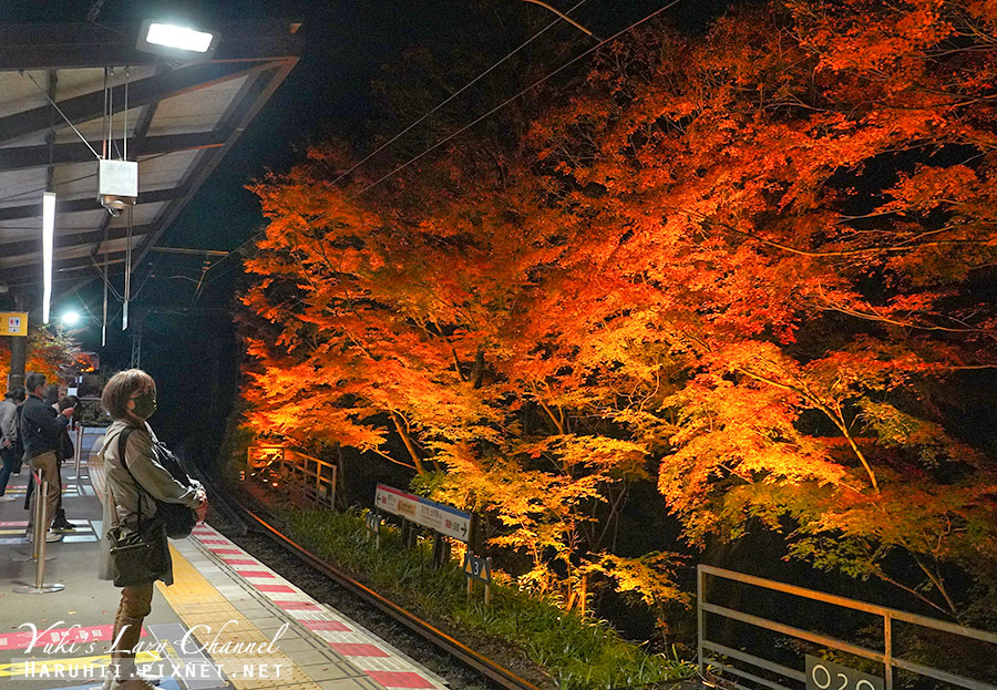 【京都】叡山電車楓葉隧道，2023夜間點燈時間，必看京都夜楓 @Yuki&#039;s Lazy Channel
